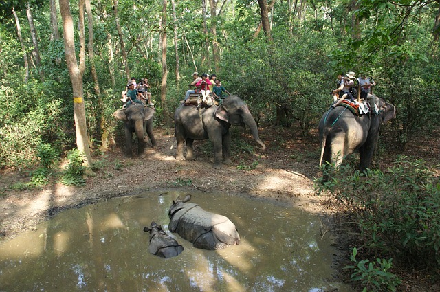 jazdenie na slonoch.jpg